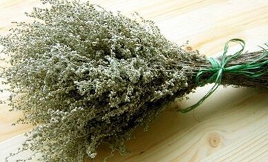 Wormwood as a way of fighting parasites
