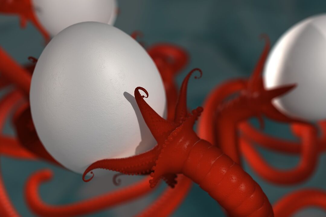 human worm parasite